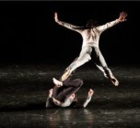 Compagnia fabula saltica