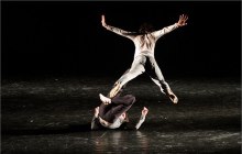 Compagnia fabula saltica