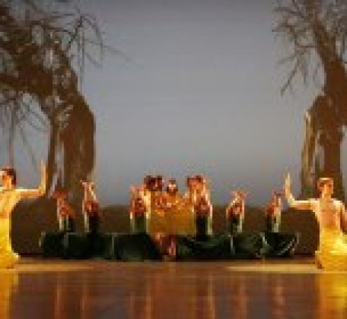 Ballet company of Gyor