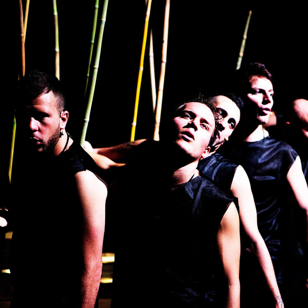 I Cavalieri erranti *annullato*