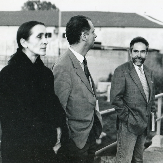 In cerca del gesto: la vita nel teatro danza di Pina Bausch
