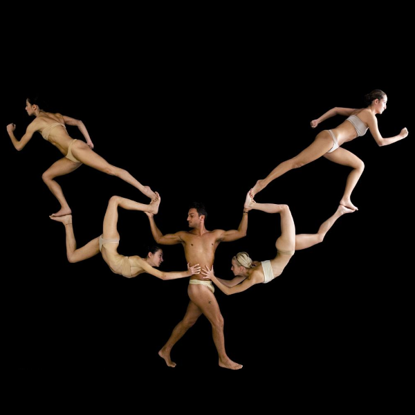 Emiliano Pellisari Studio